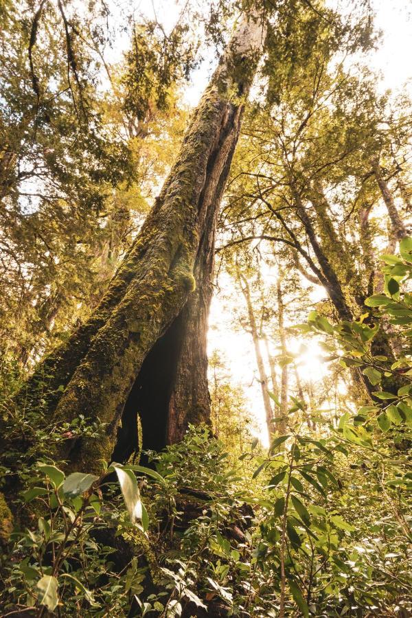Peuma Lodge Patagonia Futaleufú المظهر الخارجي الصورة