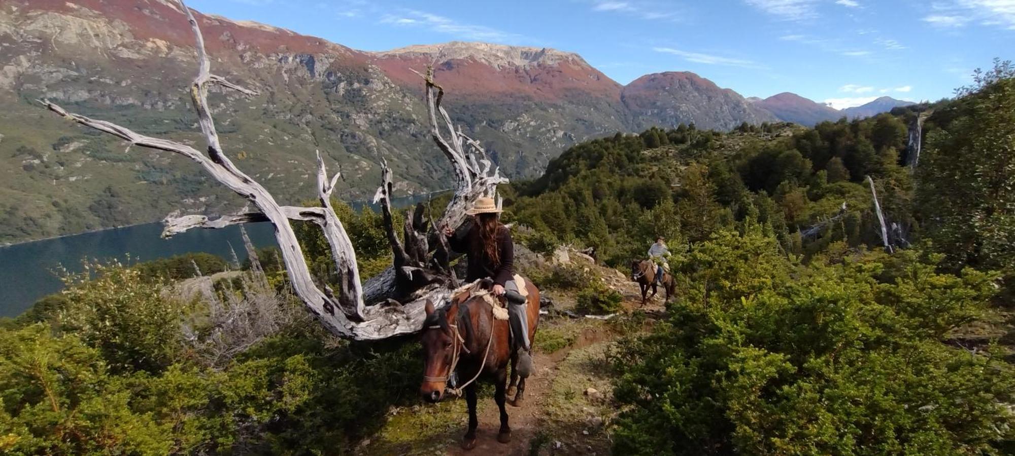 Peuma Lodge Patagonia Futaleufú المظهر الخارجي الصورة
